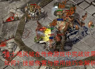 ��ʿ쫷����ڴ�����Ϸ��ʵսЧ����Σ������˺���ʹ�ü���ȫ����