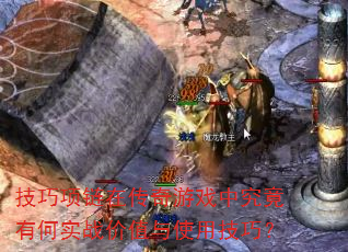 ���������ڴ�����Ϸ�о����к�ʵս��ֵ��ʹ�ü��ɣ�