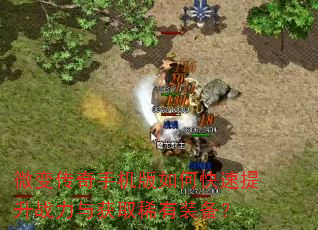 ΢�䴫���ֻ�����ο�������ս�����ȡϡ��װ����