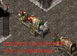 ΢�䴫���ֻ�����ο�������ս�����ȡϡ��װ����