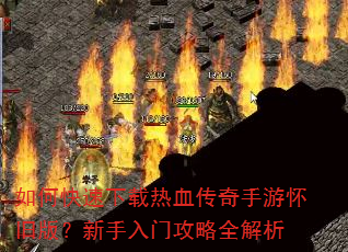 ��ο���������Ѫ�������λ��ɰ棿�������Ź���ȫ����