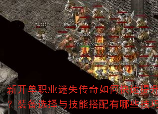 �¿���ְҵ��ʧ������ο�������ս����װ��ѡ���뼼�ܴ�������Щ���ɣ�