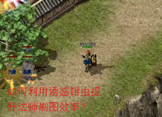 ��������ջ�ǯ��������ʦˢͼЧ�ʣ�